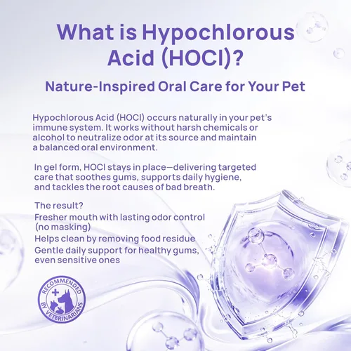 Vista 4 de HICC PET Gel de limpieza dental para perros y gatos, alternativa de pasta dental para el cuidado dental canino recomendada por veterinarios