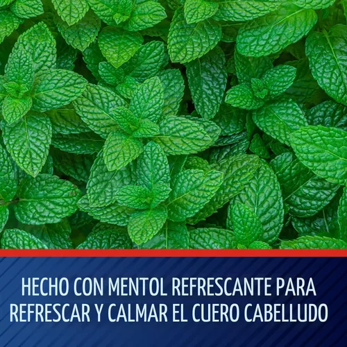 Vista 6 de Champú Selsun Azul Medicado Máxima fuerza anti caspa, 11 onzas