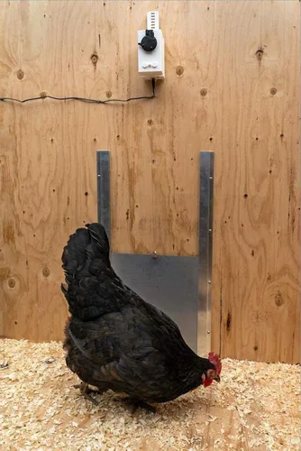 Vista 5 de Chicken Coop - Kit de abridor de puerta automático con sensor de luz, motor actuador de controlador de exterior a prueba de lluvia, control remoto