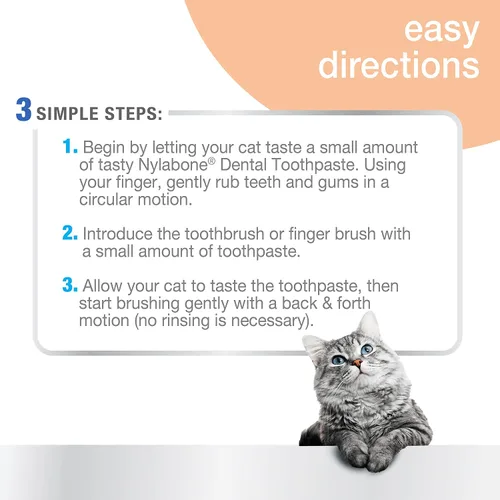 Vista 3 de Set dental del cuidado oral avanzado de Nylabone, Estándar, Adulto, Blanco, azul