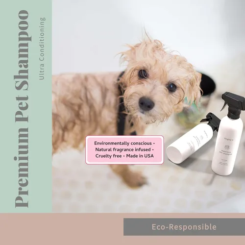 Vista 7 de Begley's - Champú sin enjuague sin agua para mascotas, limpieza sin baño, desodorizante y remoción de olores para un pelaje brillante y con olor