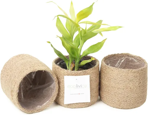 Vista 11 de Cesta de maceta de yute - Cubiertas de cuerda de yute tejidas para decorar suculentas de interior/exterior, macetas pequeñas - Juego de 2