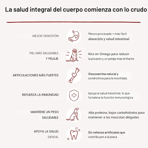 Vista 5 de Stella & Chewy's - Alimento para perros congelado y secos