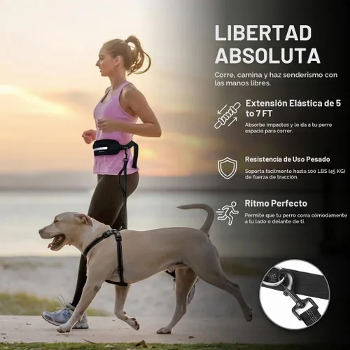 Vista 4 de Correa de perro manos libres con bolsa para la cintura, elástico Negro