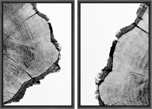 Vista 167 de SIGNWIN Lienzo enmarcado para pared, ilustraciones abstractas texturizadas en tonos beige terrosos, arte moderno, decorativo, contemporáneo