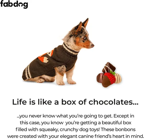 Vista 4 de fabdog Dogiva Chocolates - Juguete para perros