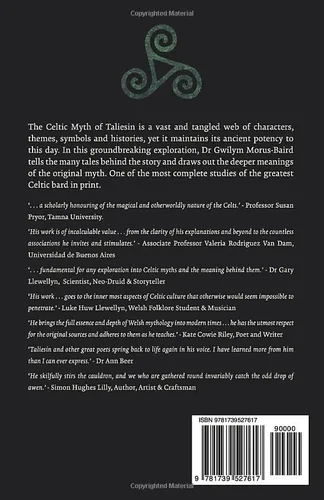 Vista 2 de Taliesin Origins Exploring the myth of the greatest Celtic bard.