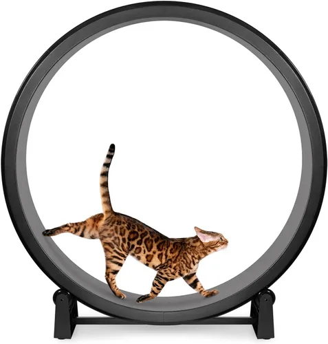 Vista 17 de One Fast Cat - Rueda de ejercicio para gatos, fabricada en los Estados Unidos, 48 pulgadas de diámetro, Gen. 7