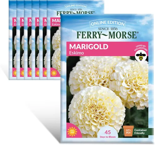 Vista 14 de Ferry-Morse Edición Online Bean Blue Lake Bush 274 Semillas Orgánicas Multipack – Paquete de 8