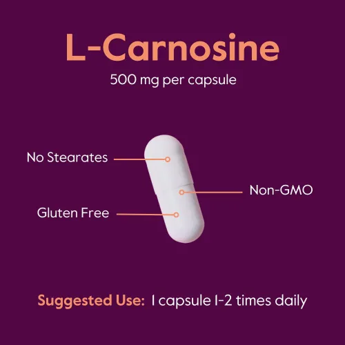 Vista 5 de BESTVITE L-Carnosina 500mg (240 cápsulas) (120x2) Sin rellenos - Sin estearatos - Sin OMG - Sin gluten