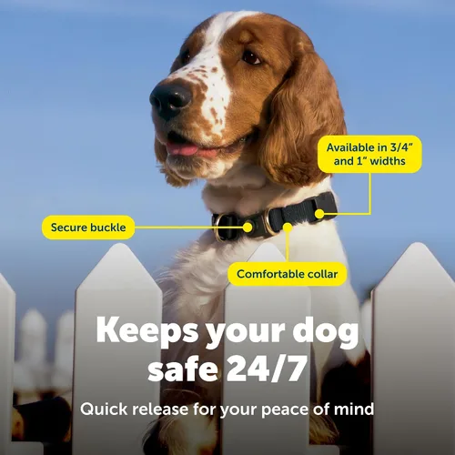 Vista 4 de Collar de seguridad KeepSafe Break-Away de PetSafe - Protege a los perros de accidentes de collar - Hebilla patentada de desenganche - Diseño
