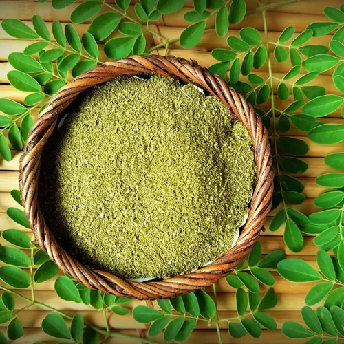 Vista 3 de 100 semillas de moringa para plantar, semillas de plantas vegetales de Moringa Oleifera para jardinería al aire libre