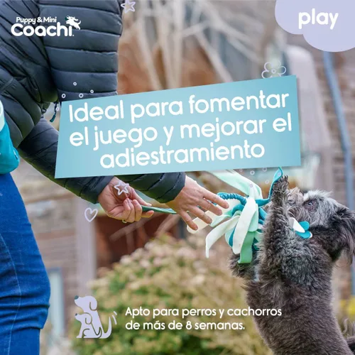 Vista 4 de Juguete para perros Coachi PUPPY & MINI TUGGI SPIDER Verde