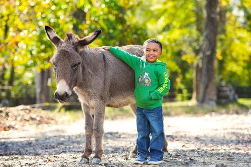 Vista 3 de John Deere Sudadera con capucha de forro polar para niños pequeños