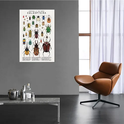 Vista 3 de Póster de lienzo de animales para pared, imágenes de animales, guía de coleópteros, insectos, escarabajos, impresiones de conocimiento, estética