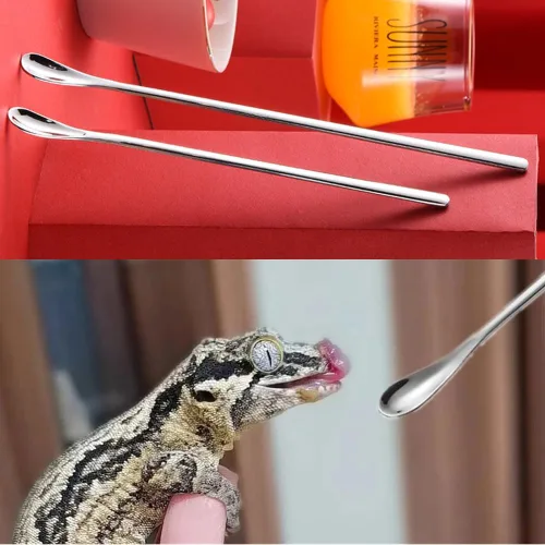 Vista 5 de Cuchara de comida para reptiles, accesorios duraderos para Gecko, polvo de reptil, mezcla de frutas, cuchara de alimentación de alimentos