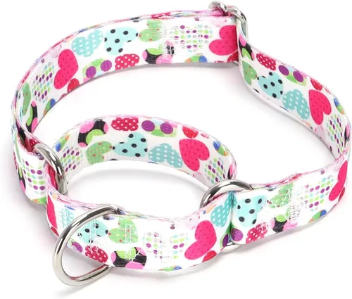 Vista 8 de Collar de perro de nailon resistente, collar ajustable de martingala para perros para caminar y entrenamiento para perros machos y hembras perros
