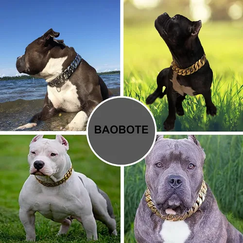 Vista 5 de BAOBOTE Collar de Cadena Dorada para Perro con Hebilla de Broche de Seguridad, Collar de Eslabón Cubano de 19 mm para Perro, Collar Resistente a