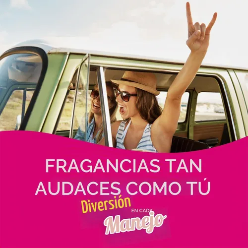 Vista 7 de California Scents Ambientador para coche Palms Ice Paper (6 x 4 unidades)