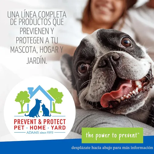 Vista 6 de ADAMS - Aerosol para pulgas y garrapatas para el tratamiento de interiores de la casa, espray de garrapatas y pulgas para el hogar, alfombras