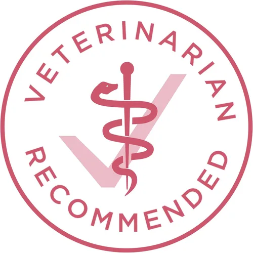 Vista 8 de Purina ONE Plus Skin & Coat - Alimento seco para perros con estómago sensible, bolsa de 8 libras Elaborado con salmón real, con vitamina E
