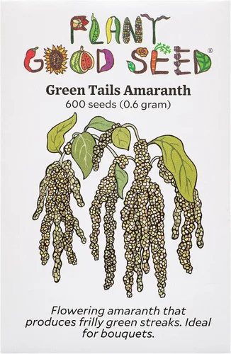 Vista 8 de Plant Good Seed Semillas orgánicas de amaranto de naranja china: 600