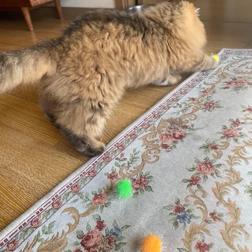 Vista 7 de 40 piezas de juguete de bola con purpurina favorita de gato de 1.5 pulgadas Bolas de pompones brillantes extra grandes de nueva