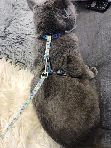 Vista 6 de Juego de arnés y correa para gatos para caminar, arnés ajustable azul para gatitos