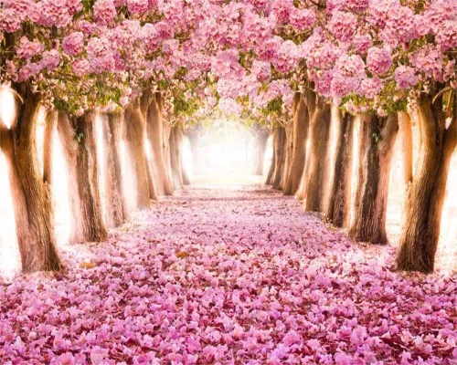 Vista 12 de AOFOTO Fondo de fondo de flores de cerezo de primavera de 5 x 3 pies, flores rosadas, árbol, pétalos florales, boulevard, fondo de fotografía, baby