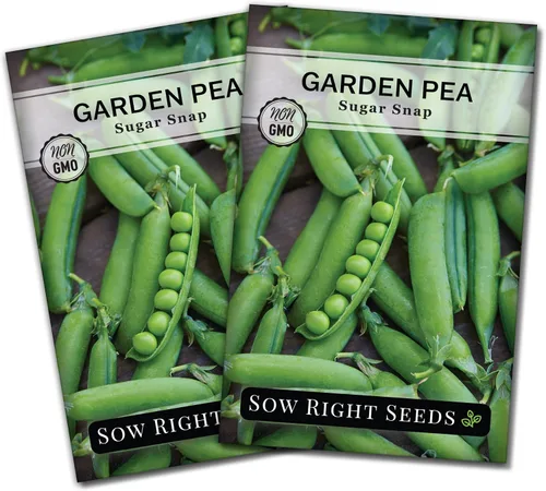 Vista 7 de Sow Right Seeds - Semillas de guisantes Sugar Snap para plantar - Guisantes tradicionales sin OMG para cultivar en huerto - Cultivo de temporada