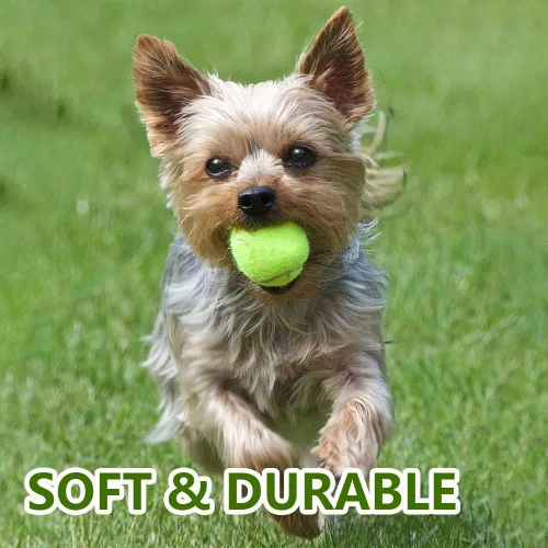 Vista 5 de BESTHLS Pelota de tenis para perros pequeños de 2 pulgadas para mascotas, cachorros, perros pequeños y pequeños, para hacer ejercicio