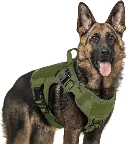 Vista 44 de rabbitgoo - Arnés táctico para perros pequeños, arnés resistente para mascotas con asa, chaleco de servicio sin tirones para razas pequeñas, chaleco