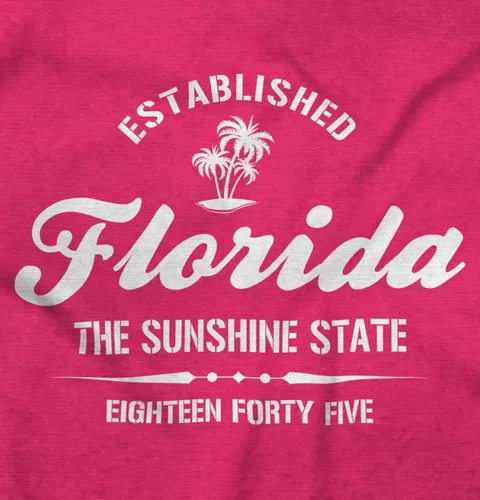 Vista 2 de Classic Teaze Sudadera con capucha Florida the Sunshine State Souvenir Mujer Hombre