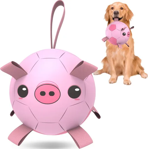 Vista 13 de QDAN Pelotas de juguete para perros: Pelota de fútbol para entrenamiento de mascotas con correas - Pelota para cachorros, extra pequeña, pelotas