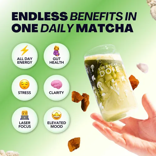 Vista 3 de Everyday Dose Mushroom Matcha+ Polvo de Matcha de Grado Ceremonial - Té Japonés con Colágeno Alimentado con Pasto, Melena de León, Chaga, L-Teanina