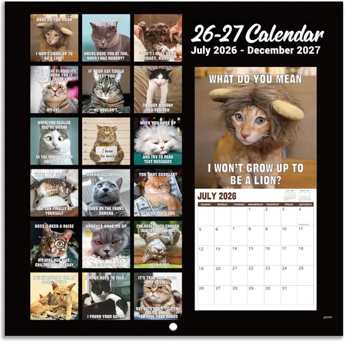 Vista 6 de Calendario de pared 2026 – enero 2026 – diciembre 2026, calendario divertido de gato 2026, calendario de 12 meses, fotos divertidas de memes