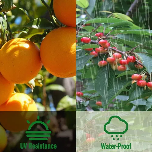Vista 6 de Red para pájaros para jardín, 6.5 x 13 pies, red de jardín para árboles frutales, arbustos de arándanos, plantas de fresa, cubierta de red