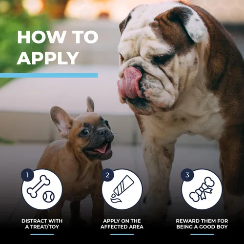 Vista 9 de Pasta antiarrugas para Bulldogs de 2 onzas (después de 1 semana) sin erupciones y se pliega para limpiar en Bulldog francés, Bulldog inglés