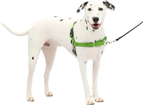Vista 53 de PetSafe Easy Walk - Arnés para perro, sin tirones, gris carbón Carbón/Negro