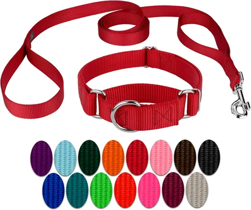 Vista 12 de Country Brook Design - Collar de perro de nailon Martingale y correa de doble asa-Negro-S