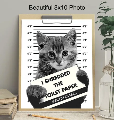 Vista 4 de Divertida decoración de pared de baño de gato, póster de decoración del hogar de 8 x 10 pulgadas, para baño, baño de invitados, tocador, regalo