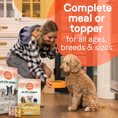 Vista 5 de Canidae All Life Stages - Alimento húmedo prémium para perros para todas las razas, todas las edades, receta de pollo y arroz, 13 onzas (caja de 6)