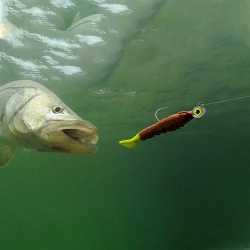 Vista 7 de Dr.Fish Paquete de 10 Señuelos con Ojos de Pesca Ojos 3D Cabezas de Trucha Anzuelo para Lubina Señuelo Nadador de Agua Salada Cabezas de Jig de Agua