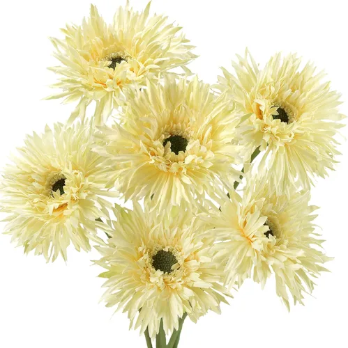 Vista 19 de FiveSeasonStuff Real Touch Gerbera Daisy - Arreglo de flores artificiales y ramo de boda (7 tallos florales, rojo baya)