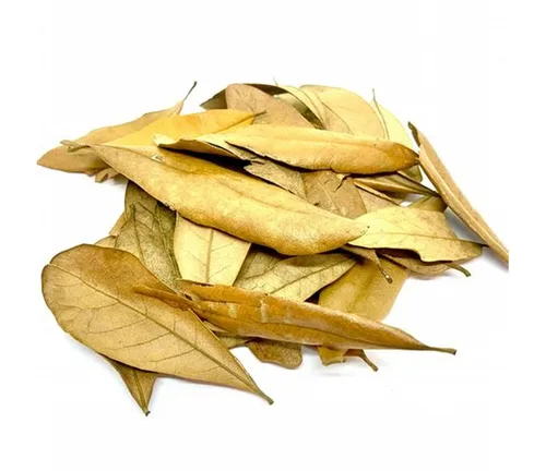 Vista 5 de Graviola de hojas de guanábana - Hojas de té de hierbas secas premium Annona Muricata Infusión de bienestar natural