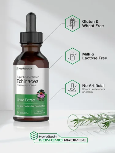 Vista 5 de Horbaach Echinacea Drops - Tintura de hierbas 2 onzas líquidas Extracto de raíz súper concentrado Líquido sin alcohol Suplemento