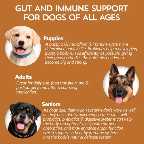 Vista 9 de Fidobiotics Good Guts Probióticos para perros – Polvo probiótico para perros para la salud digestiva, alivio de gases y heces más firmes, 3B UFC
