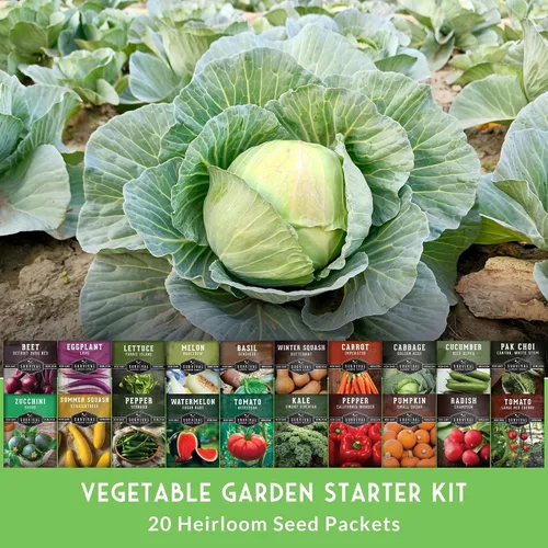 Vista 3 de Kit de iniciación de huerto – 20 semillas tradicionales sin OMG para plantar Kit de jardín familiar de regalo para jardines de la victoria