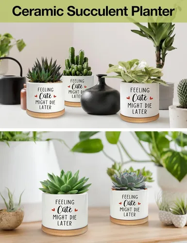 Vista 2 de Feeling Cute Might Die Later - Maceta de cerámica grabada para suculentas, aloe y cactus, divertidas macetas de interior con bandeja de bambú