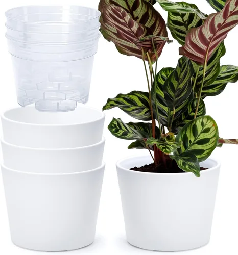 Vista 41 de Phoenix Vine Macetero de plástico verde oliva de 4.5 pulgadas con maceta transparente, cubierta decorativa ligera con maceta interior transparente